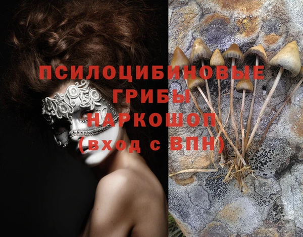 меф Корсаков