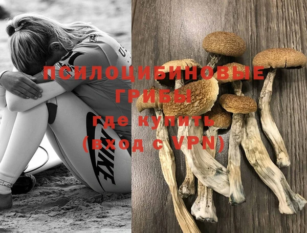apvp Костерёво